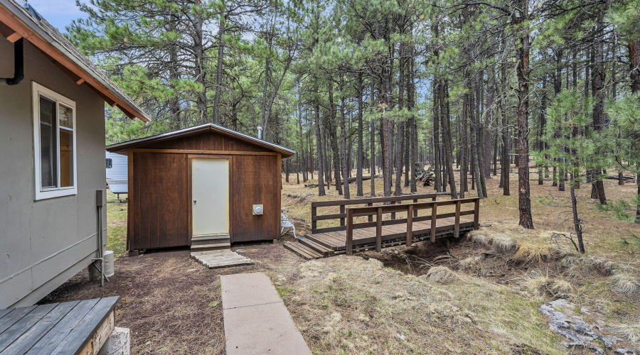 65-web-or-mls-Forest-49