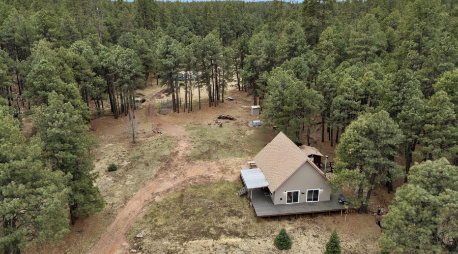 106-web-or-mls-Forest Drone-12