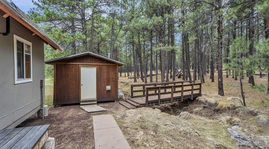 66-web-or-mls-Forest-50