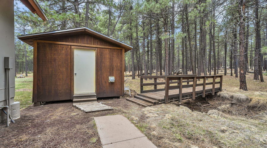 68-web-or-mls-Forest-52