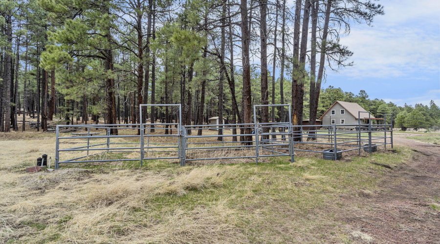 89-web-or-mls-Forest-73