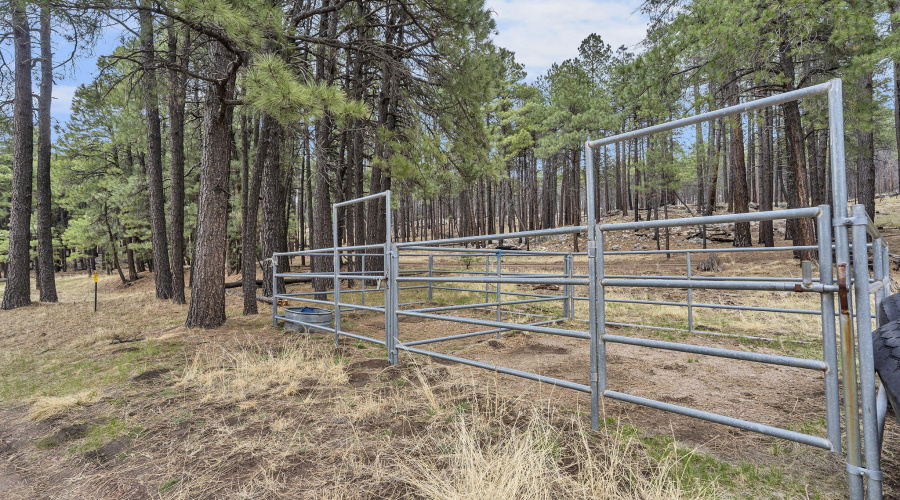 90-web-or-mls-Forest-74