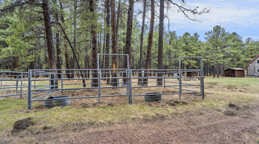 92-web-or-mls-Forest-76