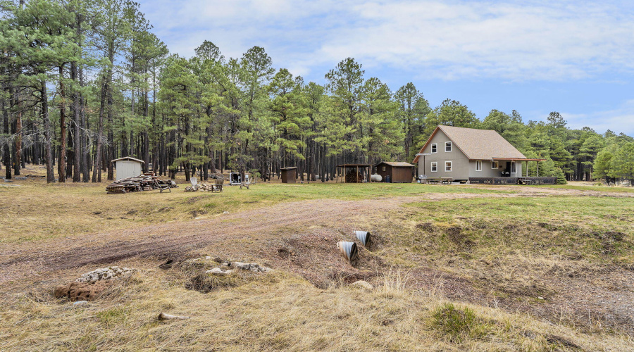 94-web-or-mls-Forest-78