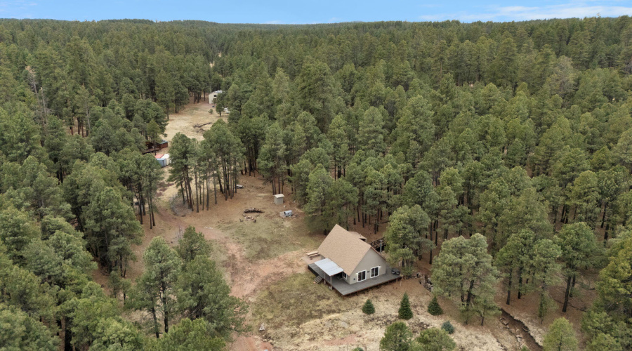 110-web-or-mls-Forest Drone-16