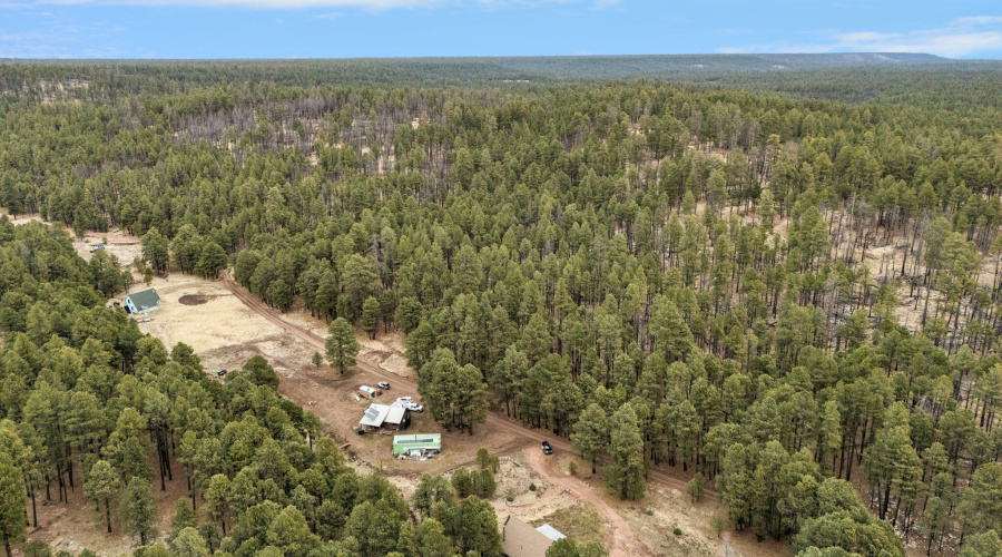 117-web-or-mls-Forest Drone-23