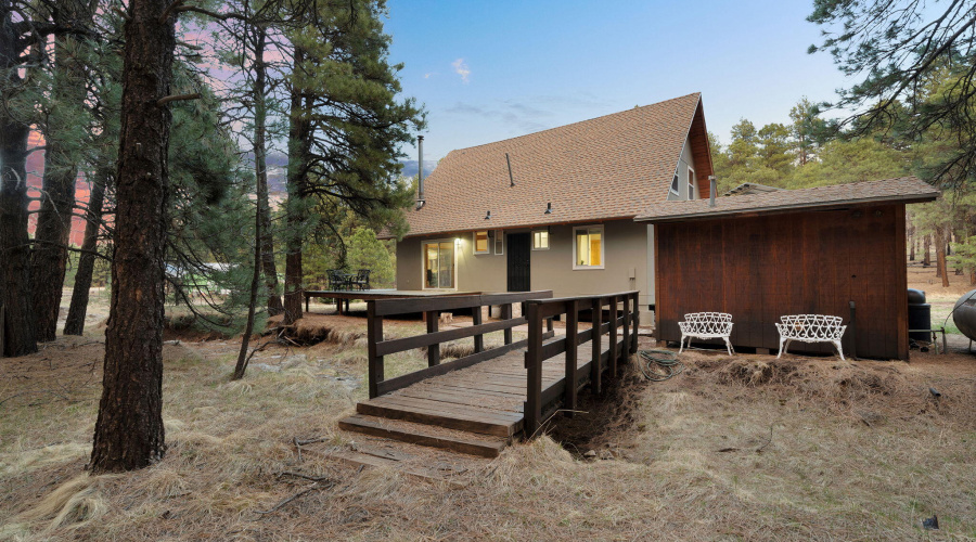 2-web-or-mls-Forest Twilight-02