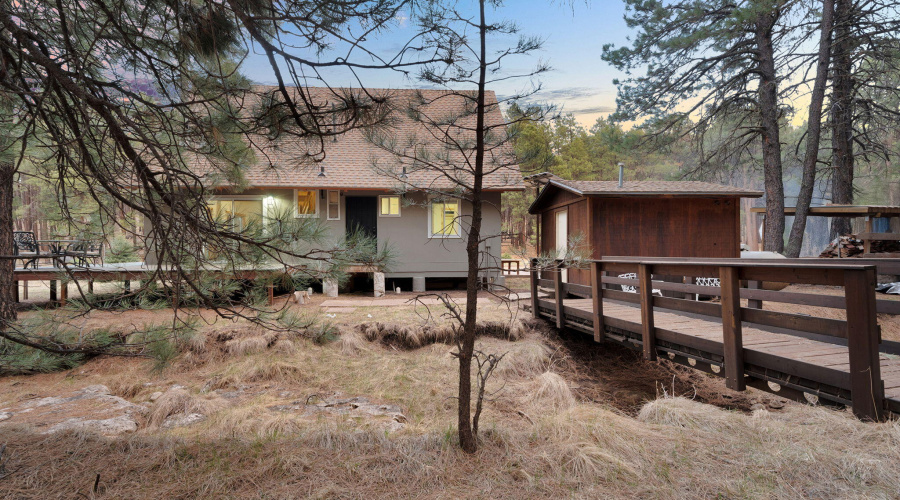 5-web-or-mls-Forest Twilight-05