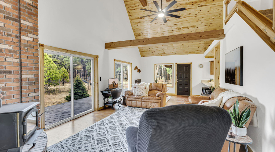 37-web-or-mls-Forest-21