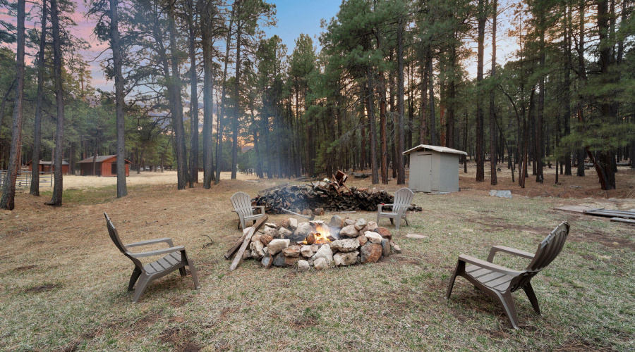 7-web-or-mls-Forest Twilight-07