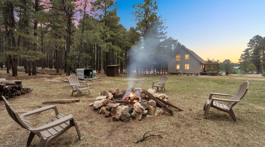 9-web-or-mls-Forest Twilight-09