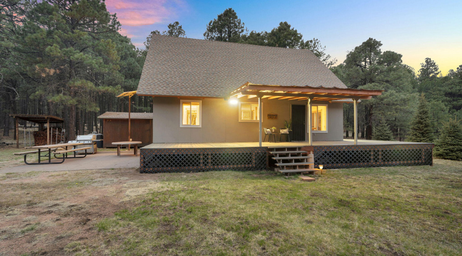 14-web-or-mls-Forest Twilight-14