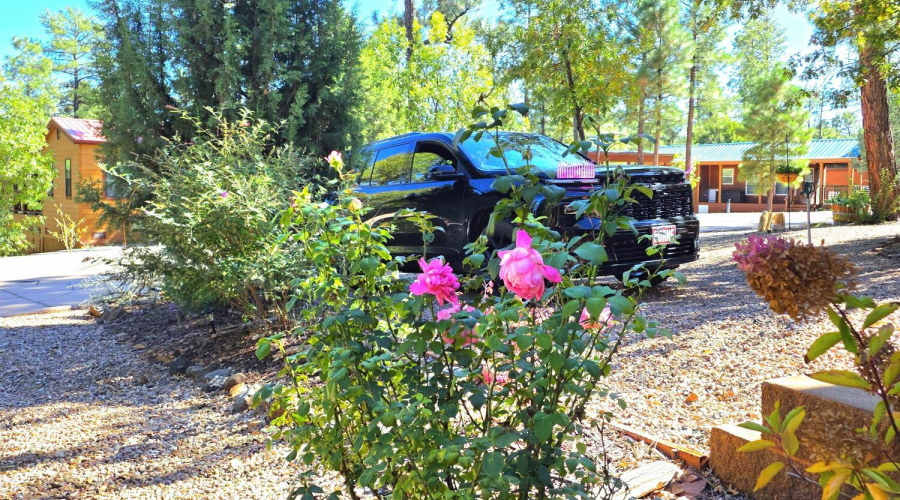 Flowers in Your Own Front Yard