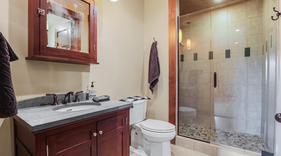 Lower Level Guest Bathroom