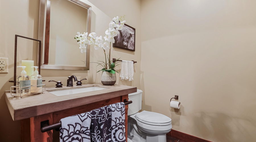 Lower Level Powder Room