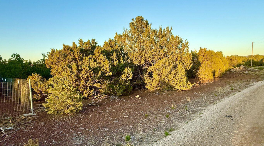 20250609051138198364000000-o