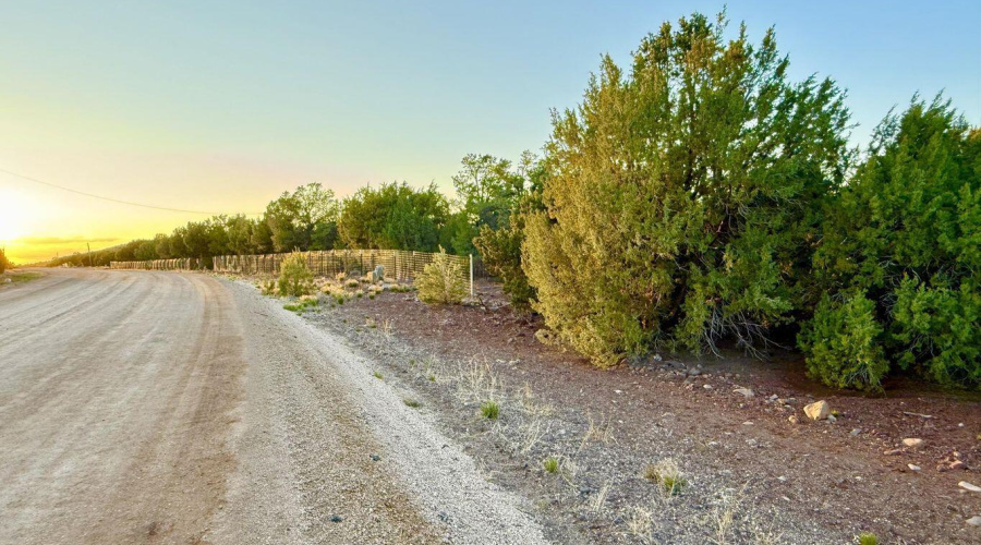 20250609052140179506000000-o