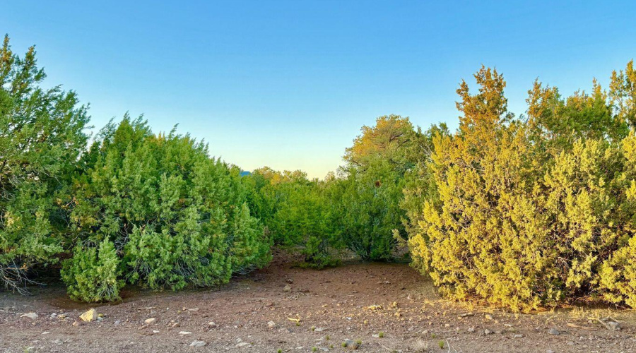 20250609051101216809000000-o