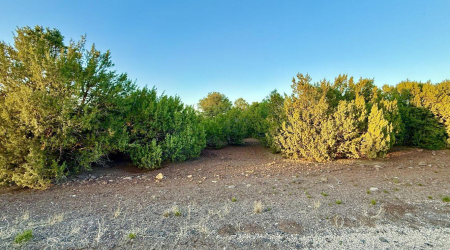 20250609051244279950000000-o