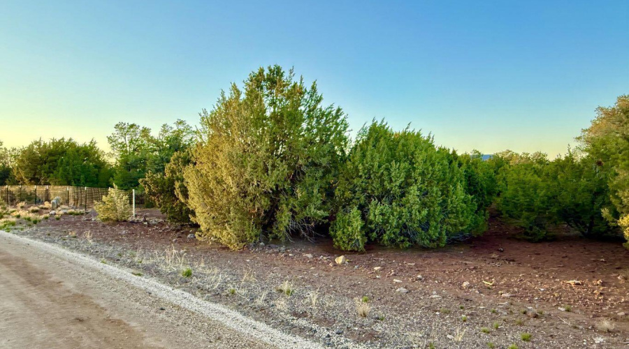 20250609052024280027000000-o