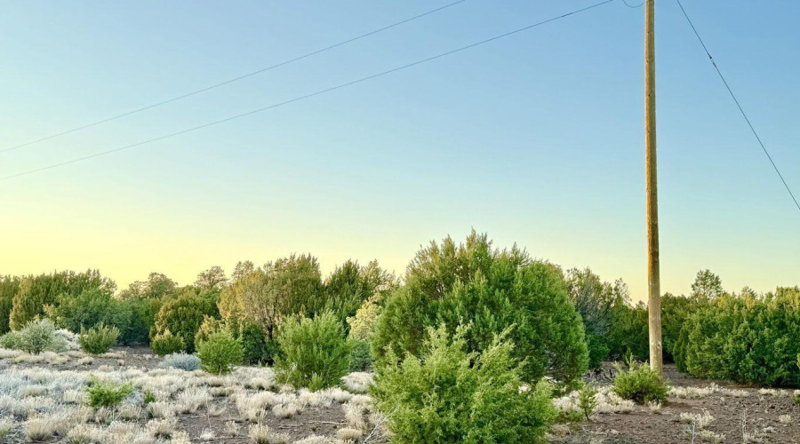 20250609052337835048000000-o