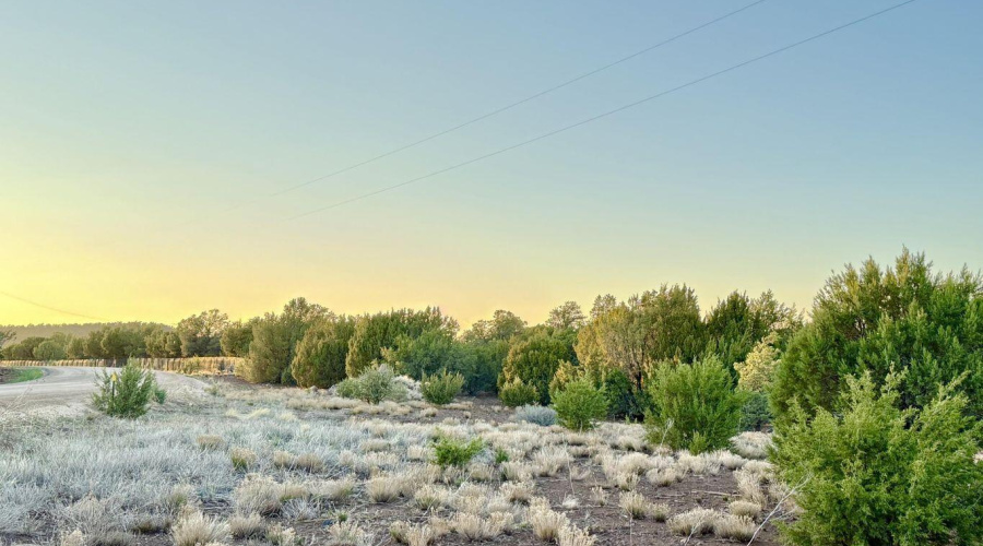 20250609052456682627000000-o