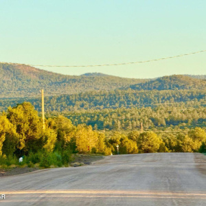 20250609055604943895000000-o