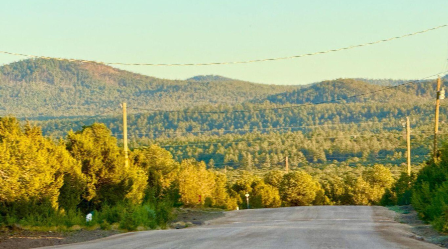 20250609055604943895000000-o