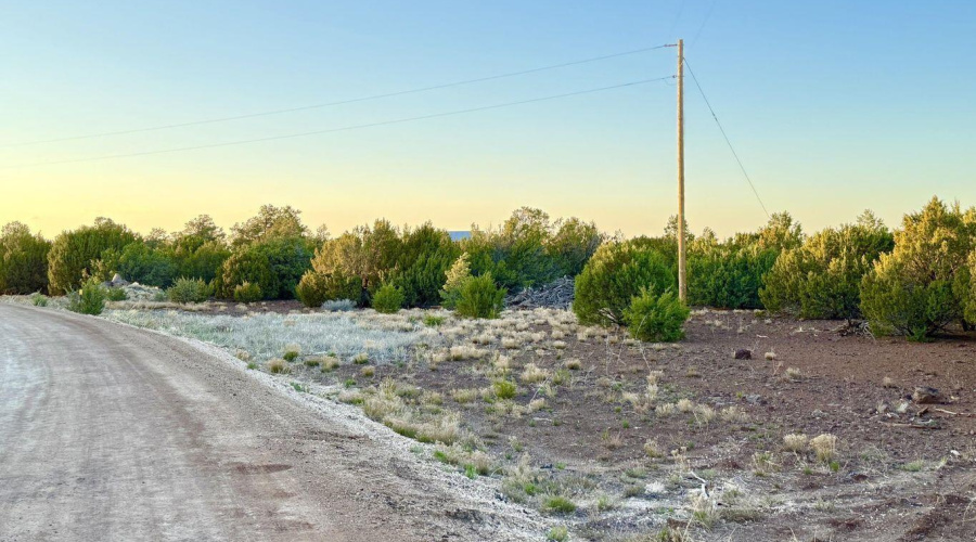 20250609053636163243000000-o