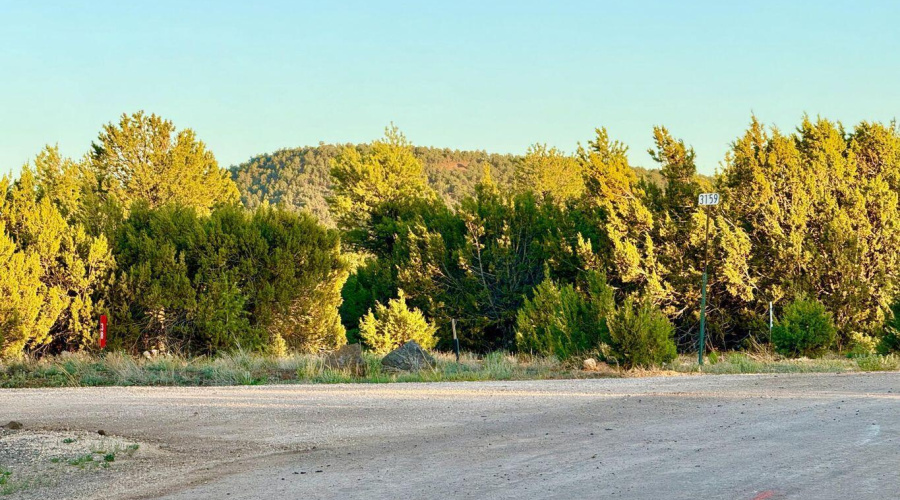 20250609055007585756000000-o