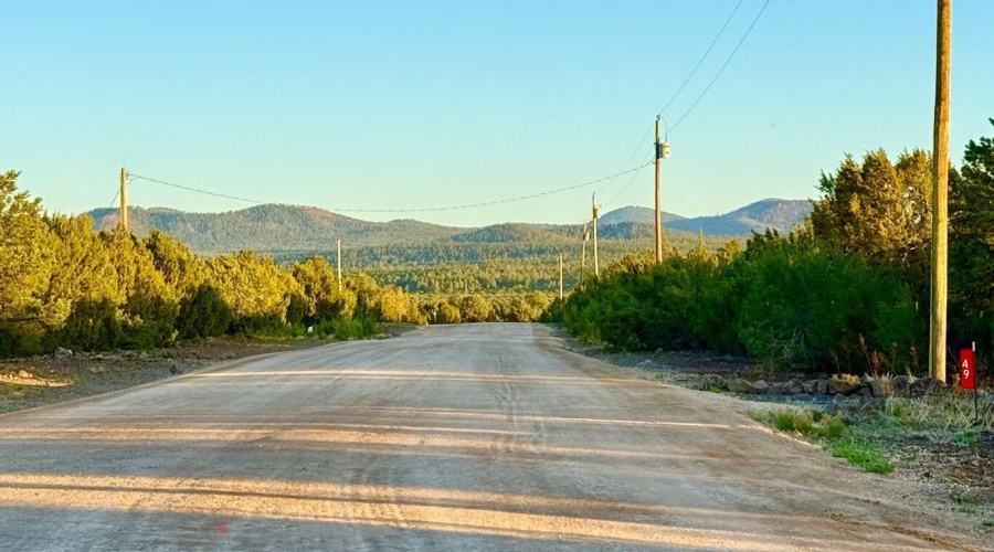 20250609055153890692000000-o