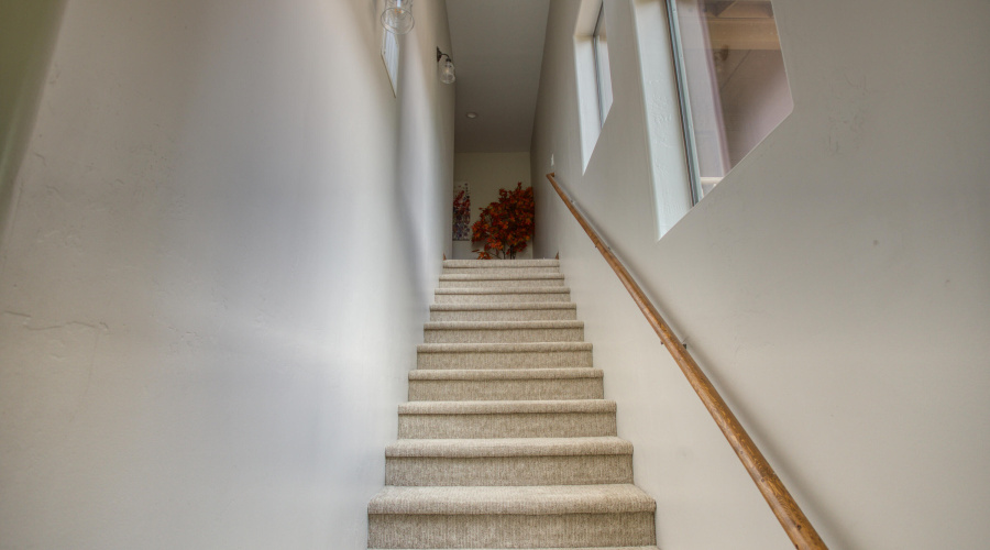 paxmanphotography-0879