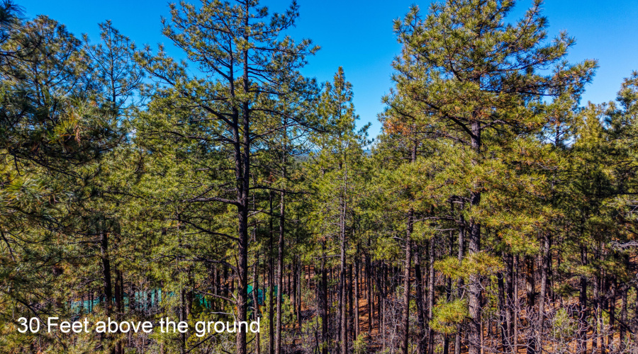 2189 Creekside Court, Pinetop, AZ