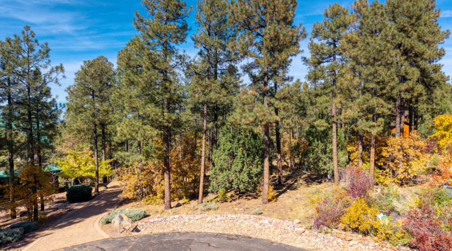 2189 Creekside Court, Pinetop, AZ 85935