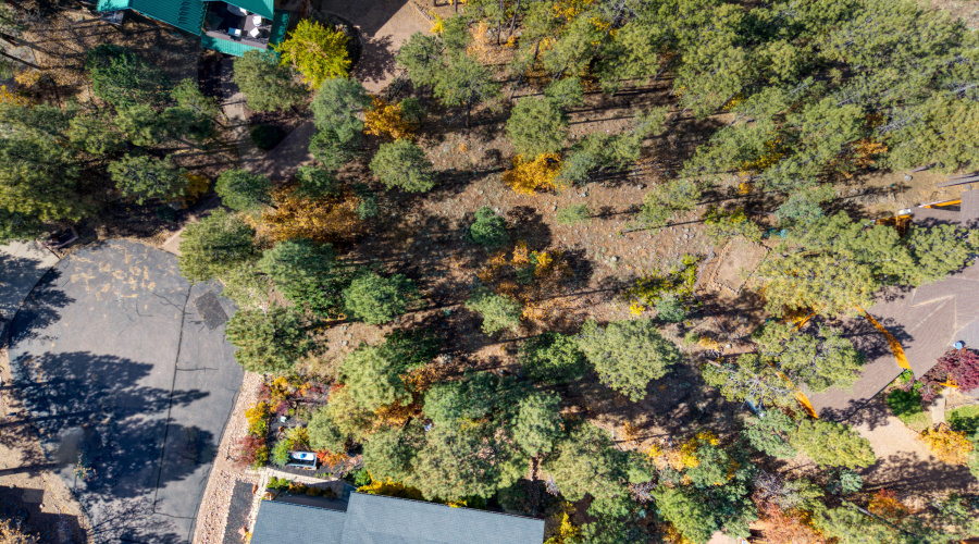 2189 Creekside Court, Pinetop, AZ 85935