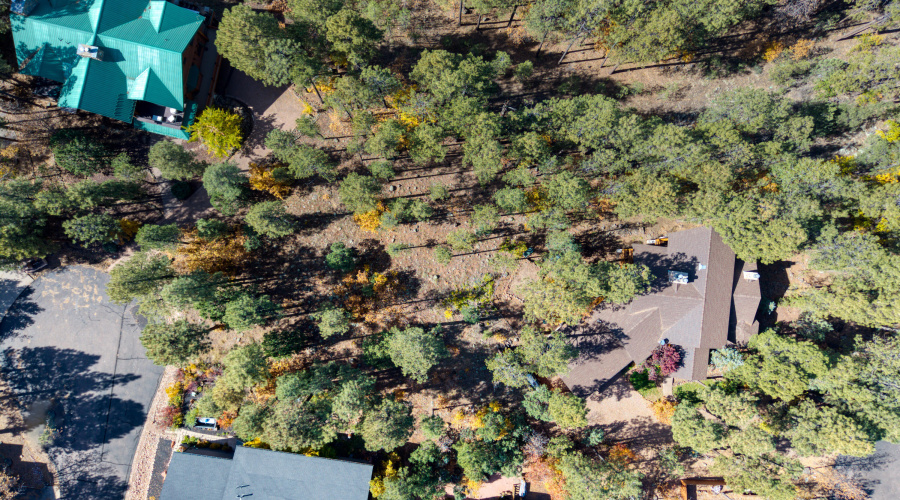 Paxmanphoto_DJI_20251031113617_0100_D