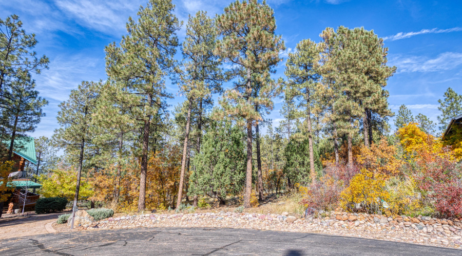 2189 Creekside Court, Pinetop, AZ 85935