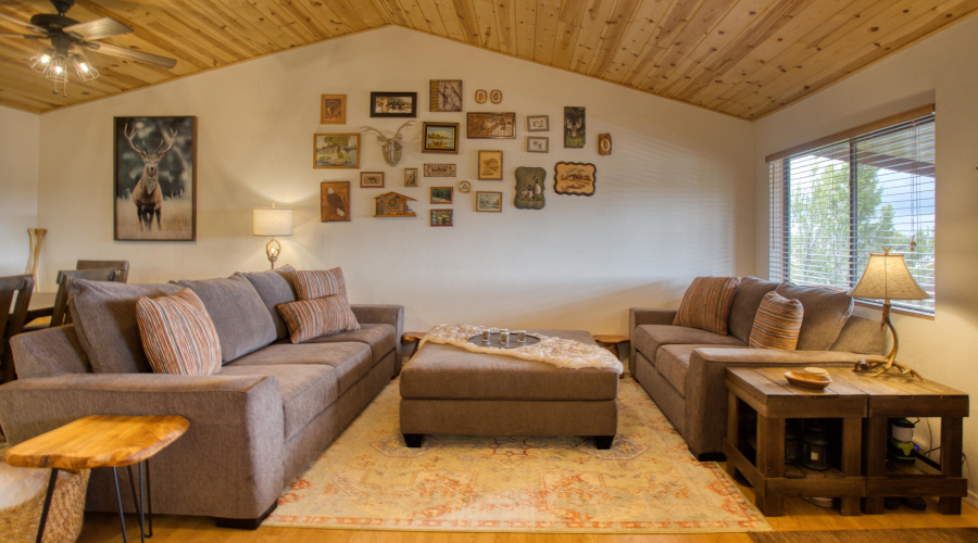 Living Vaulted Spacious