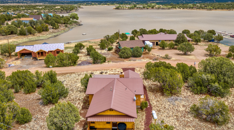 Back Drone with View