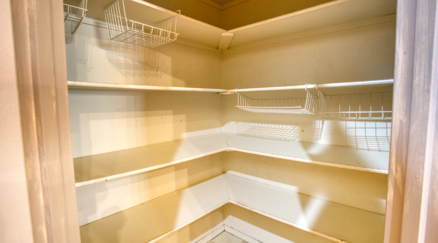 Paxmanphoto_PAX_9756