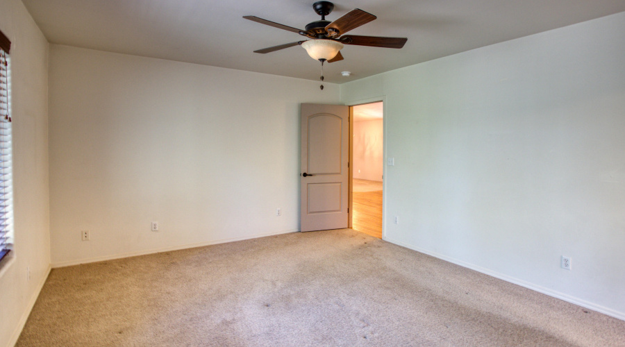 Paxmanphoto_PAX_9702