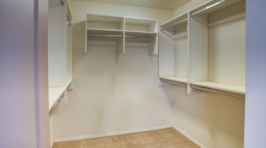 Paxmanphoto_PAX_9709