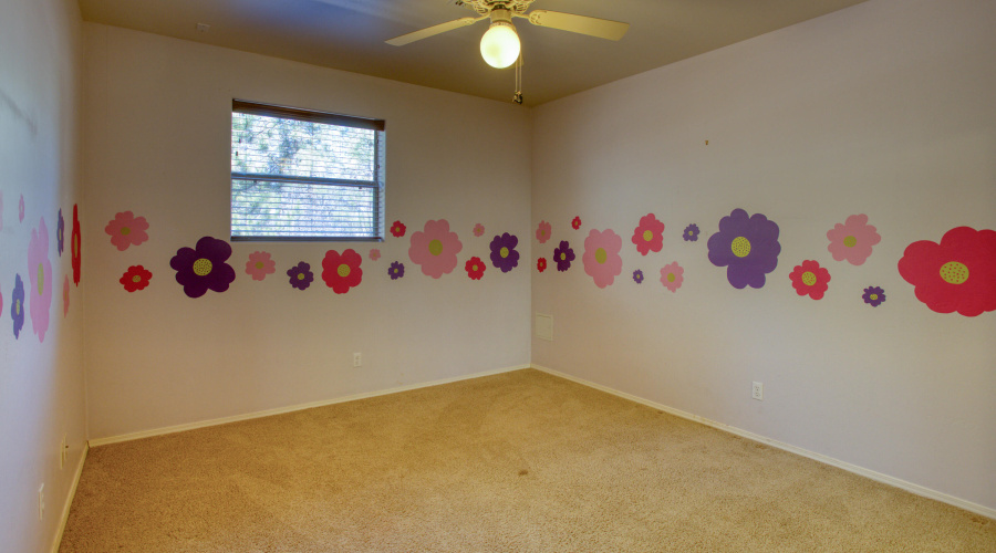 Paxmanphoto_PAX_9667