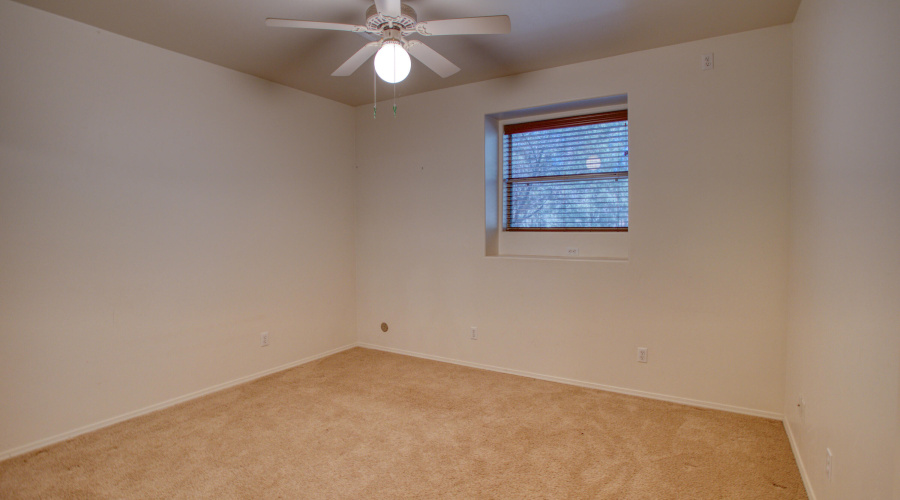 Paxmanphoto_PAX_9671