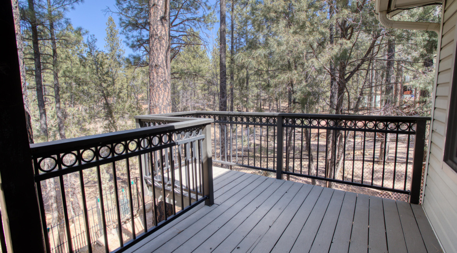 Paxmanphoto_PAX_9763