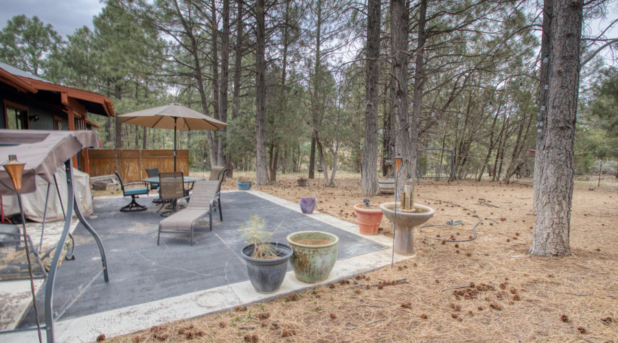 Paxmanphoto_PAX_9095