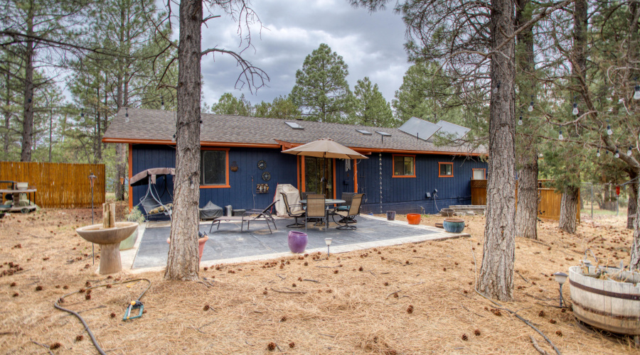 Paxmanphoto_PAX_9098