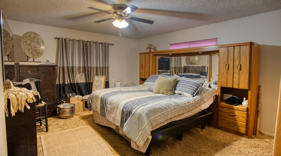 Paxmanphoto_PAX_9043