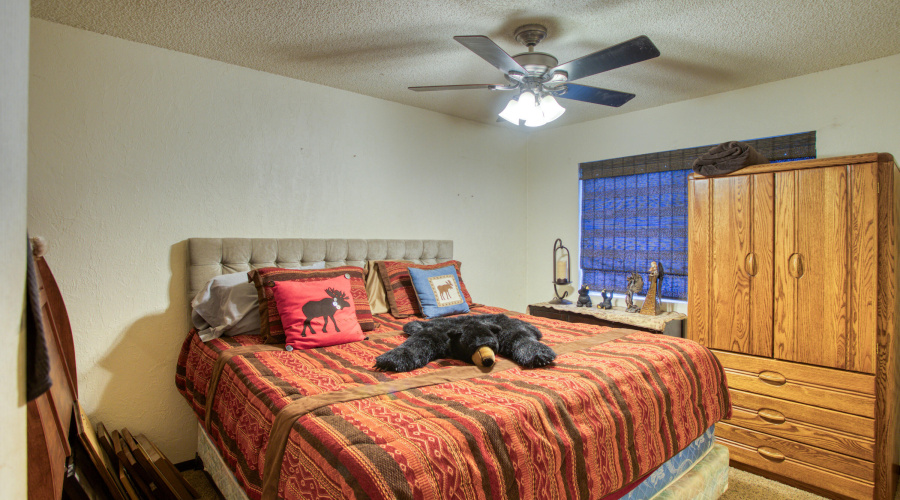 Paxmanphoto_PAX_9050