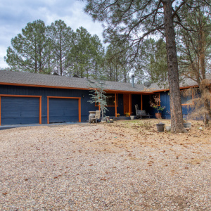 Paxmanphoto_PAX_9103